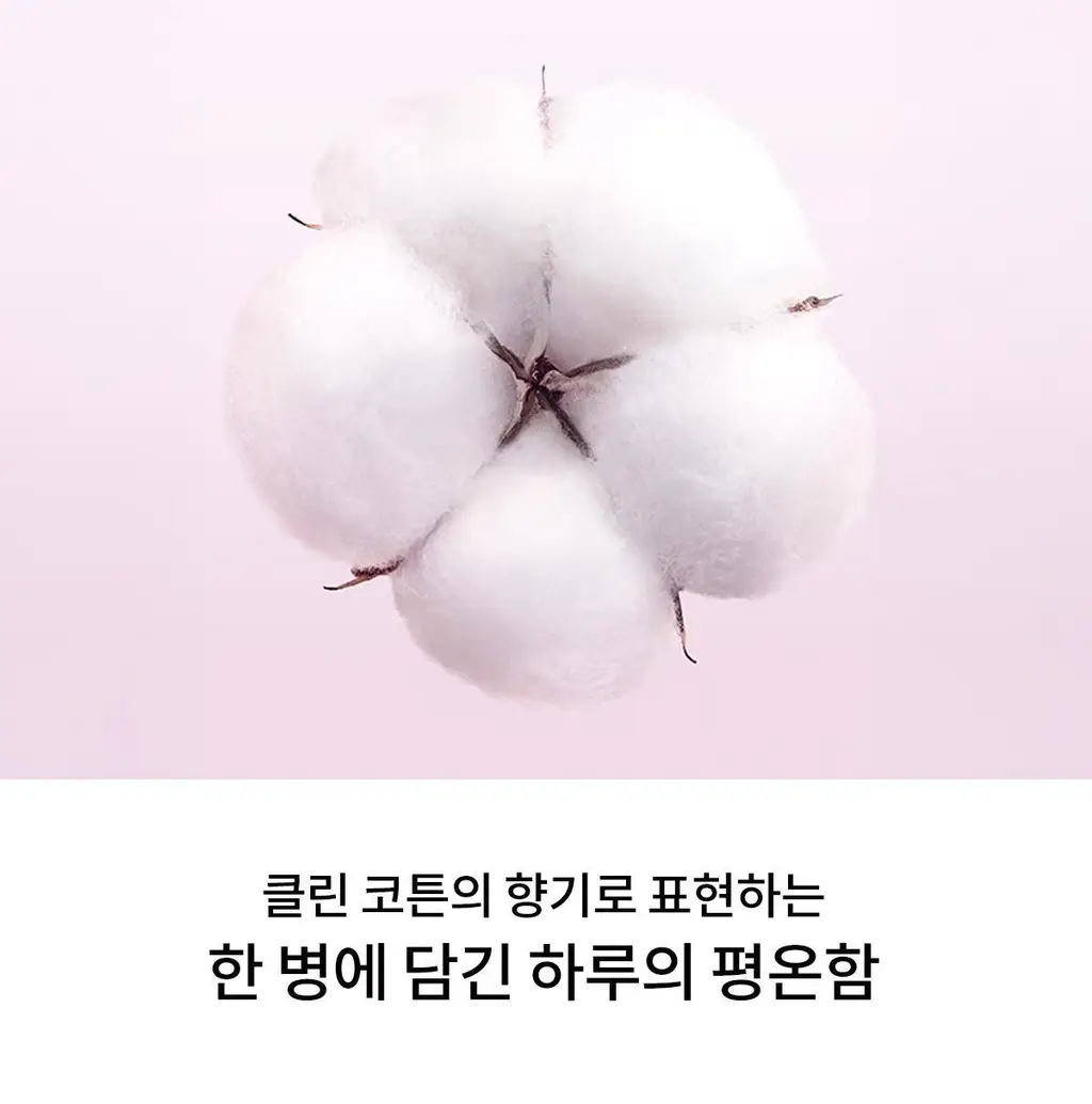 [클린코튼향]나르시소 로드리게즈 나르시소 래디언트 EDP (30ml/50ml) 상세페이지 17
